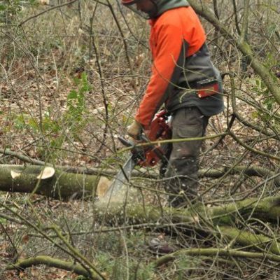 60u Bosbouwtechnische opleiding erkenningsregeling 