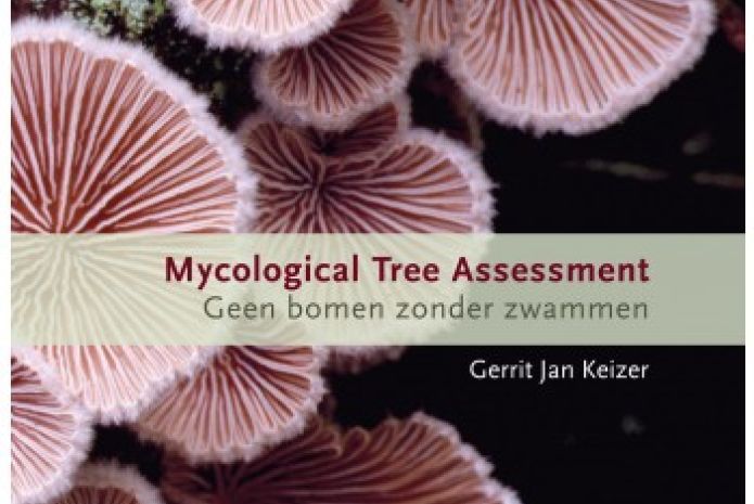 Mycological Tree Assessment 