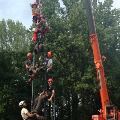 Tree worker nascholing - Gebruik van telekraan bij demontage en velling van bomen 
