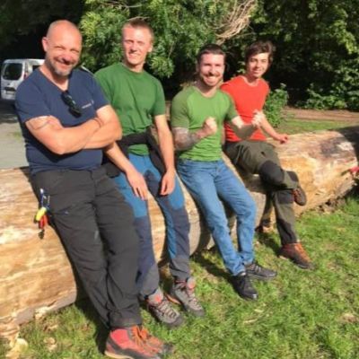 Opleidingstraject tot professioneel boomdeskundige 