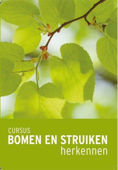 Voetzool Medewerker Vochtigheid Cursusboek bomen en struiken herkennen | Inverde