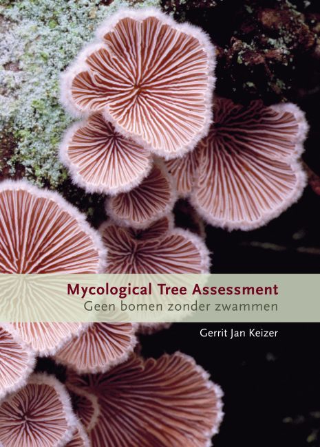 Mycological Tree Assessment